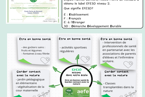 Le_Fil_Pdagogique_n2_-_EFE3D_-_miniature.png